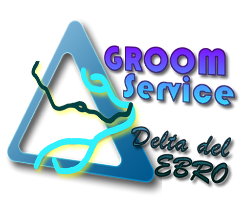 Groom service Delta de l'Ebre, Servei de consergeria airbnb