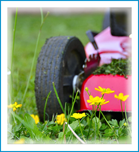 Manteniment/neteja, Interior y exterior, Jardí, piscina, plantes, neteja, planxat, ventilació, calefacció de l’allotjament, delta de l'Ebre, Riumar, Deltebre, Poble Nou, Sant Jaume d'Enveja